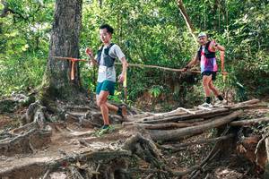 BIB: 
                            <button type="button" onclick="openModal(27556592)" class="btn btn-primary btn-sm float-right btn-popup" data-toggle="modal" data-target=".modal-high-quality">
                        <i class="fas fa-shopping-cart"></i> Add to Cart
                    </button>
                                            <button type="button" onclick="isThisMe(27556592, true)" class="btn btn-success btn-sm float-right btn-popup btn-isme hidden" data-toggle="tooltip" data-placement="bottom" title="นี่คือรูปของคุณใช่ไหม คลิกที่นี่เพื่อเอาเข้าอัลบั้ม">
                        <i class="fas fa-plus"></i> Add to album
                    </button>
                    <button type="button" onclick="isThisMe(27556592, false)" class="btn btn-warning btn-sm float-right btn-popup btn-isnotme hidden">
                        <i class="fas fa-ban"></i> Remove from album
                    </button>